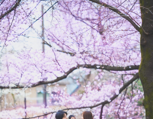 桜の中で撮る家族写真